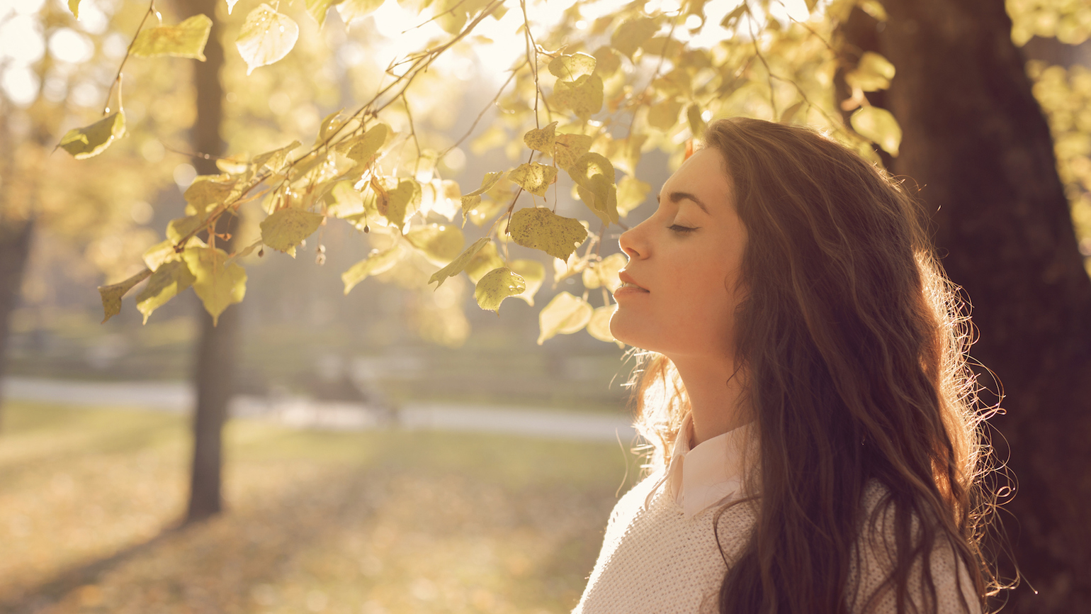 What if Your Mind Wanders in Prayer?