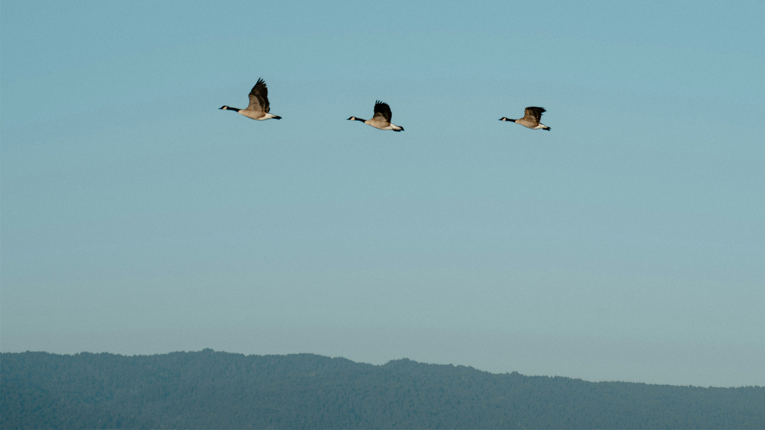 Why Forgiveness Is So Powerful