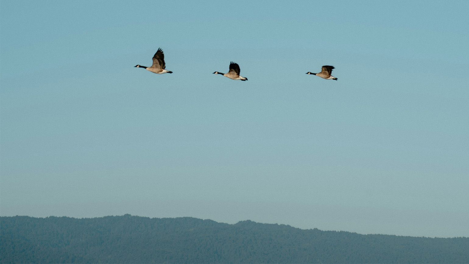 Why Forgiveness Is So Powerful