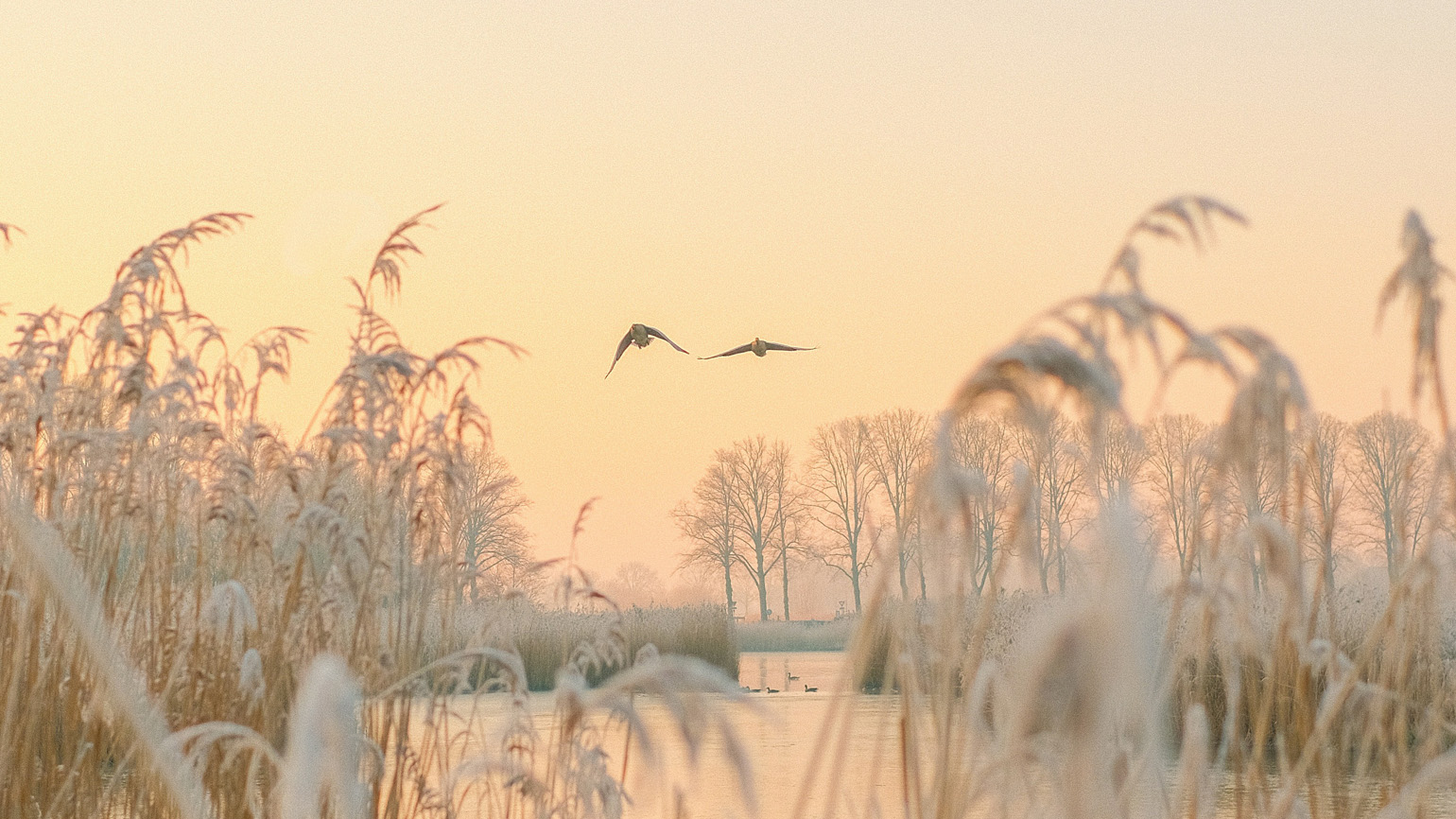 Why Forgiveness Is a Big Deal