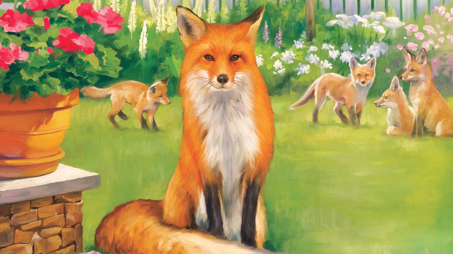 This Heaven-Sent Fox Family Brought Her Joy