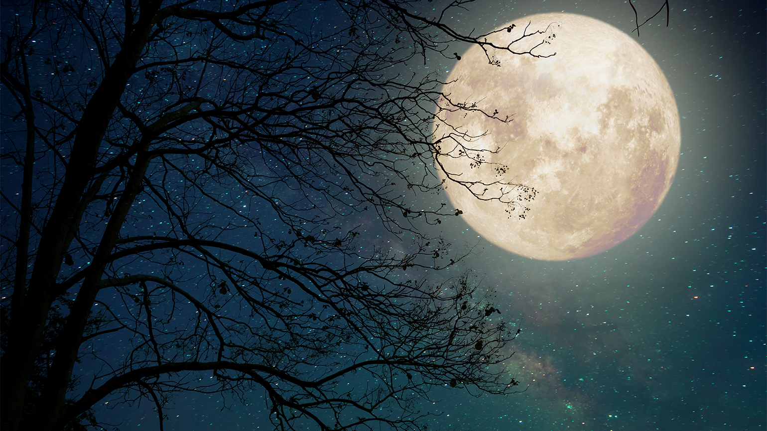 The Light of God’s Grace