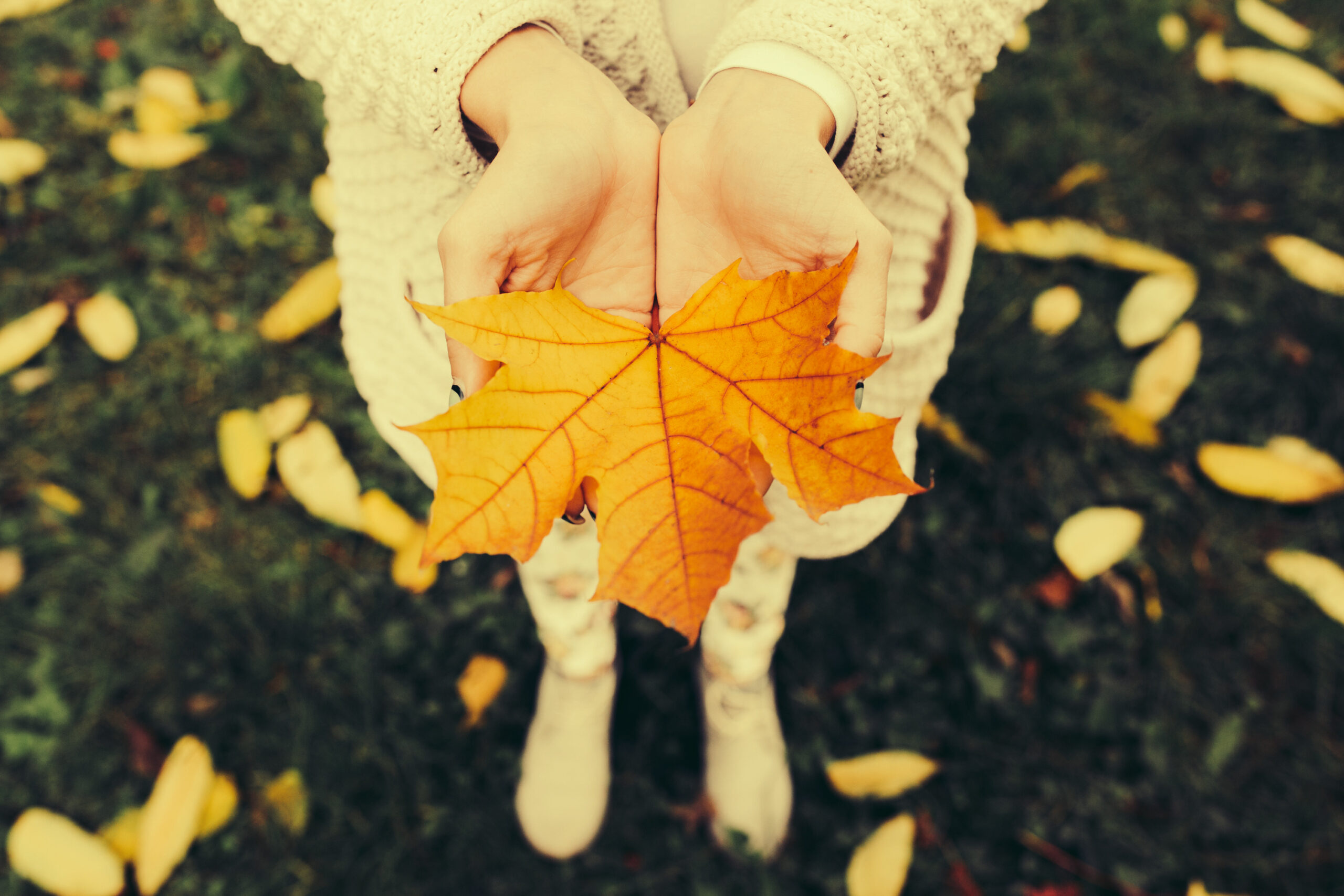 7 Prayers God Always Answers