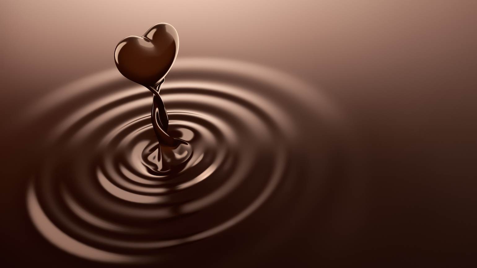 In Celebration of Chocolate