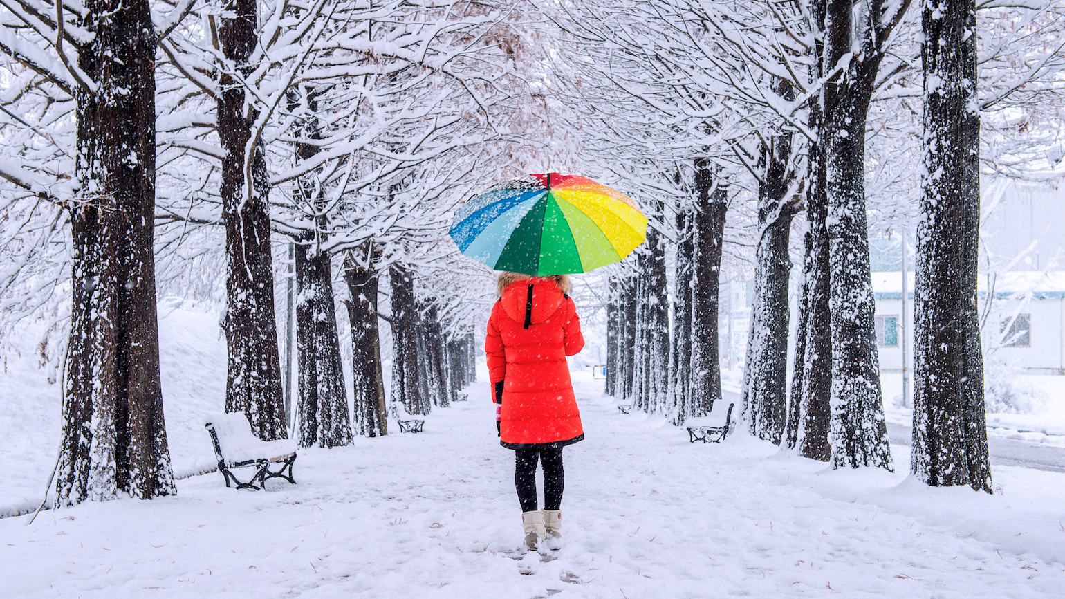 5 Ways to Banish Winter Gloom