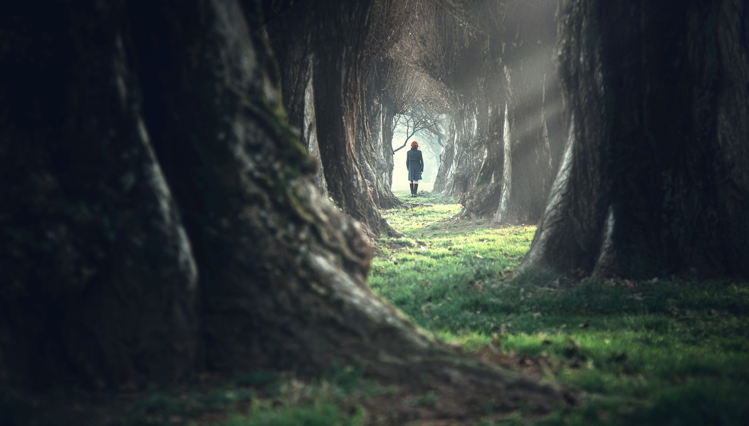 A Devotion to Help You Follow God’s Guidance