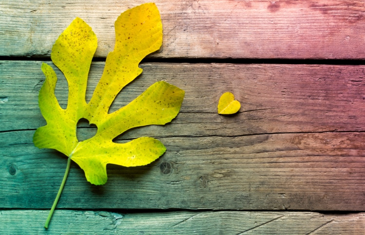 The Power of God’s Love