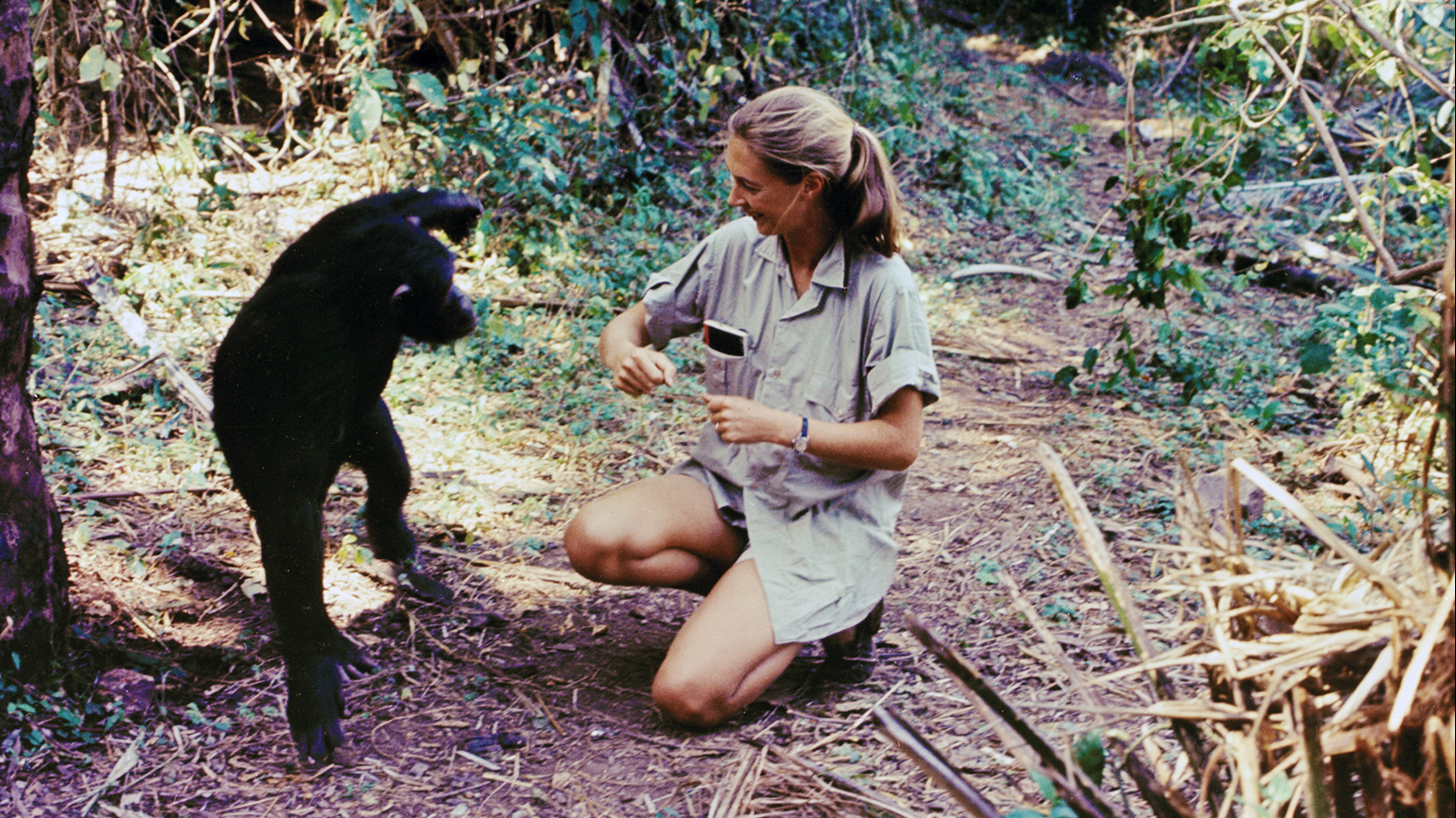 Jane Goodall: I Carry Hope with Me