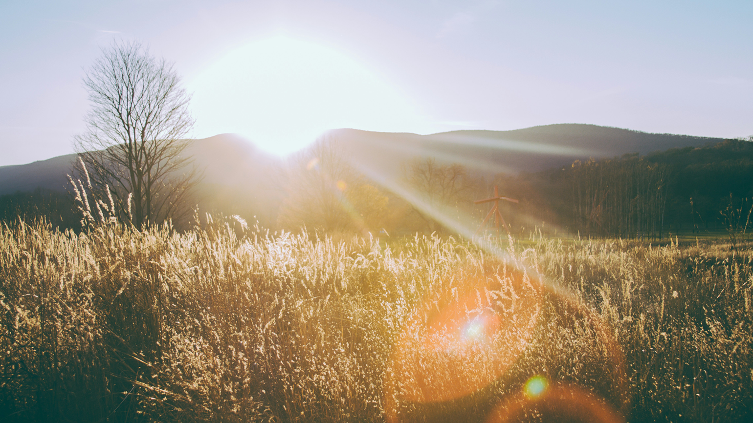 7 Attributes of Grateful People