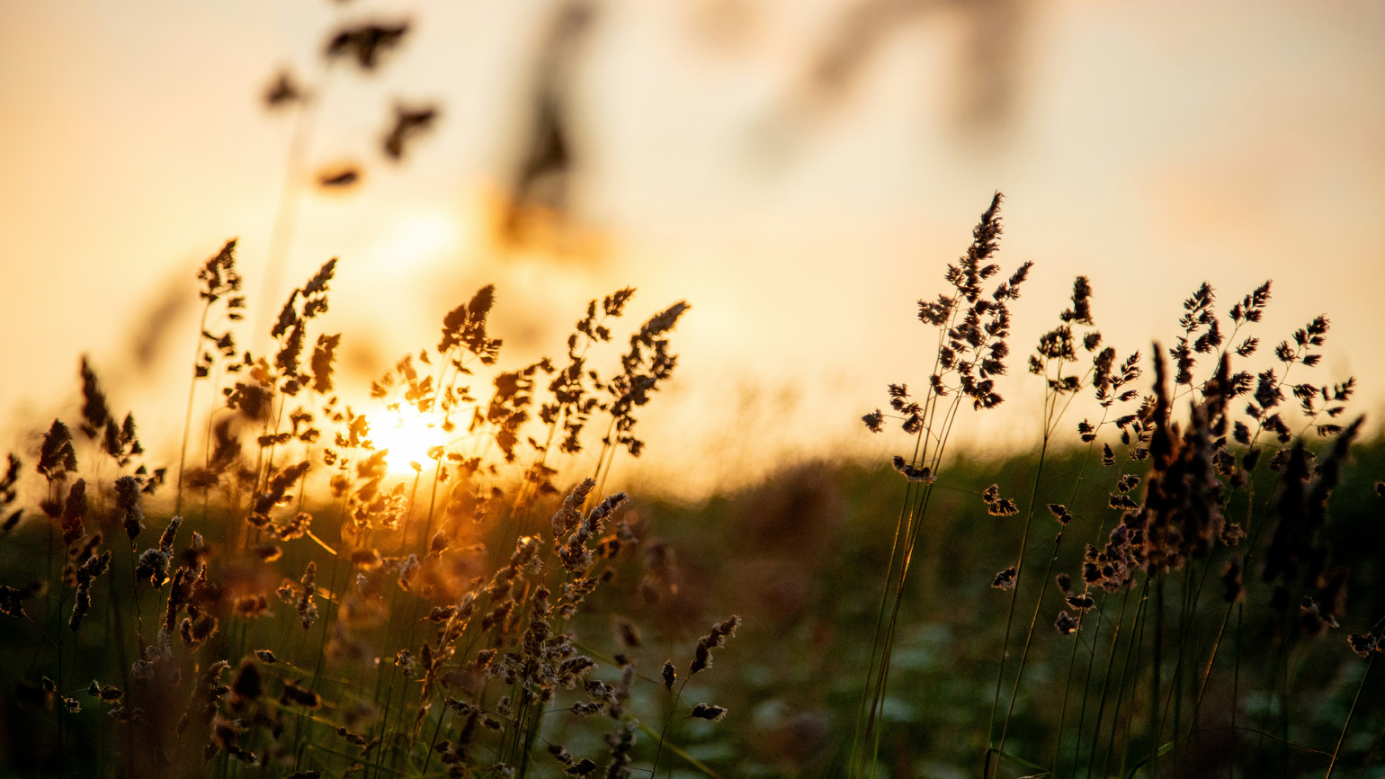 How Prayers of Gratitude Can Help You Fight Depression