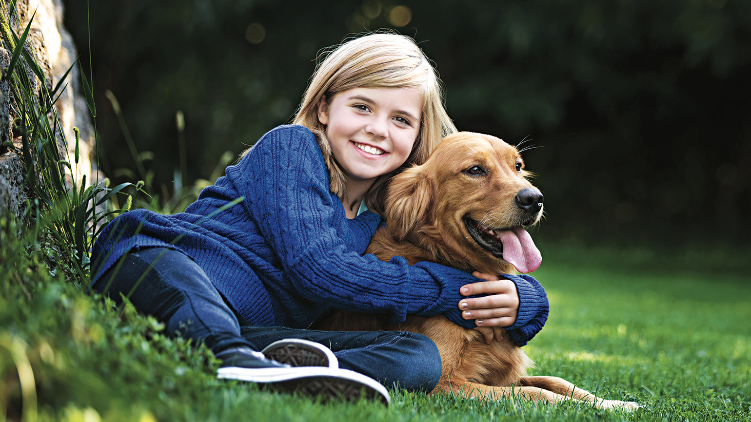The Golden Retriever Who Came for Christmas