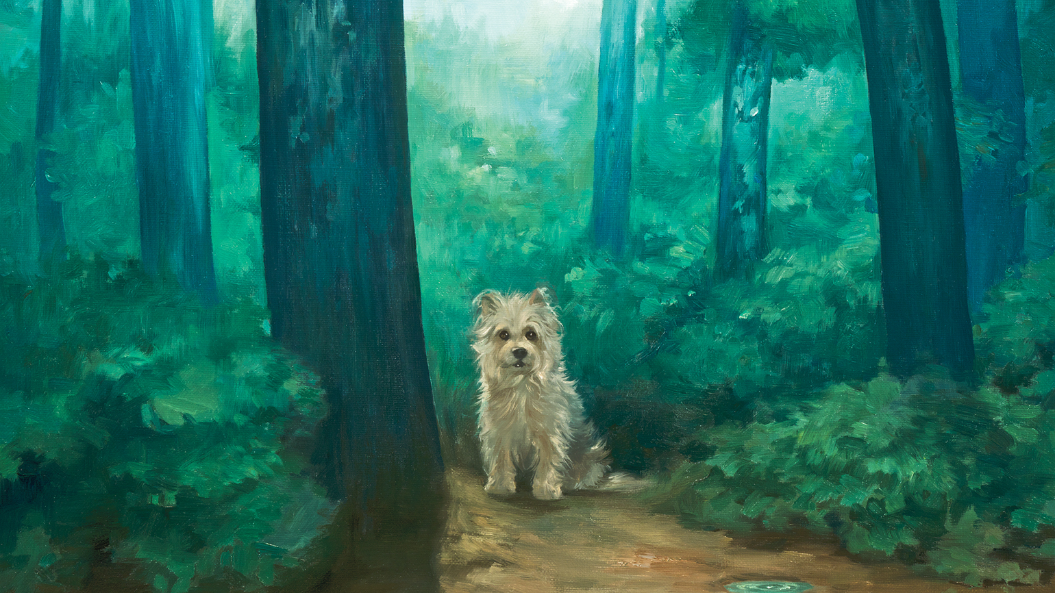 A Mysterious Dog Cured Her Loneliness