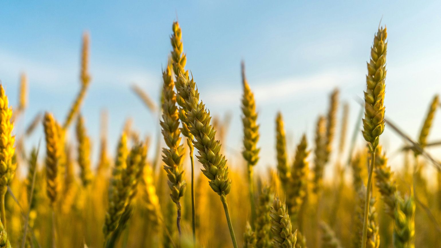 21 Holy Week Prayers