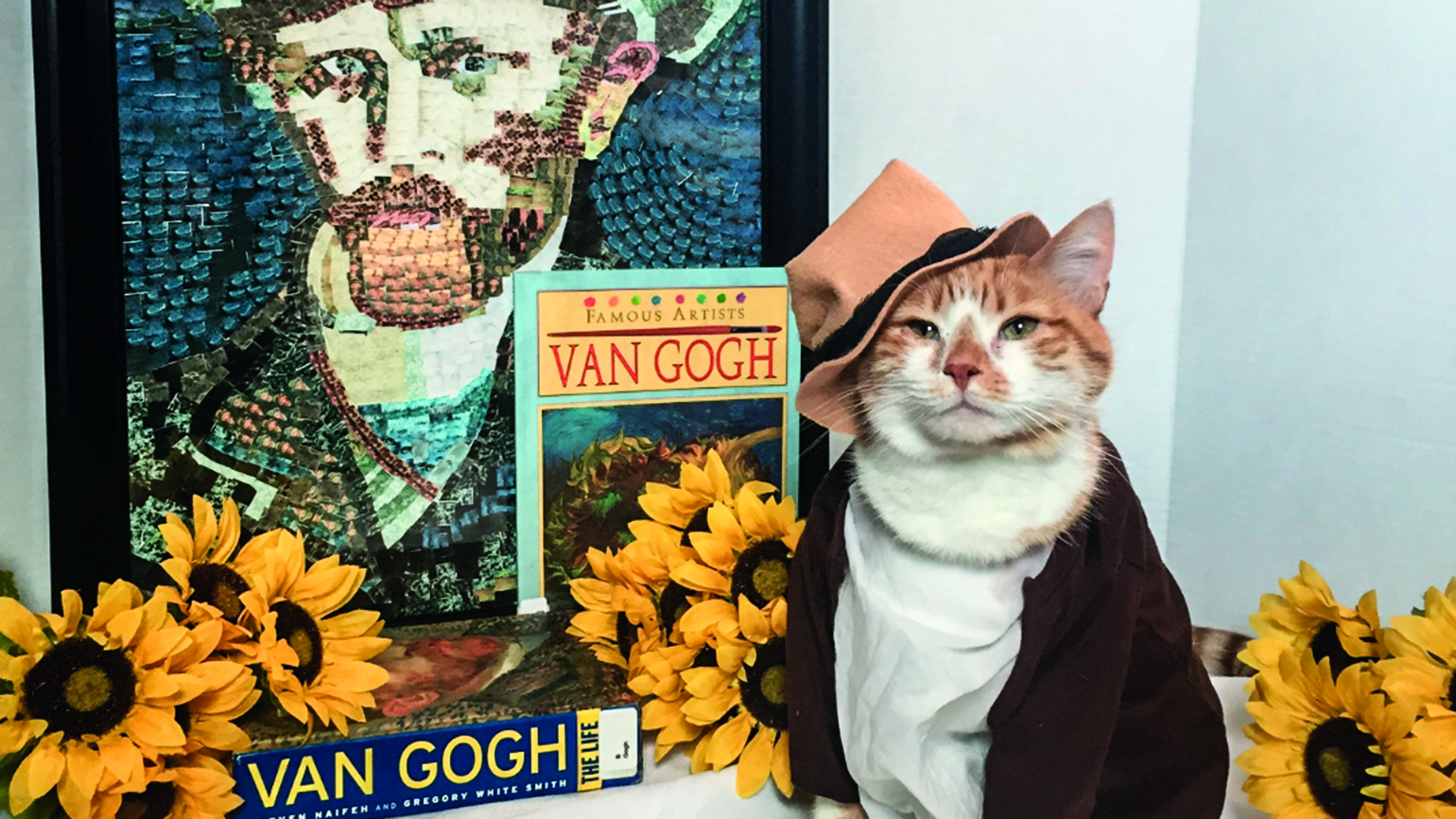How a Cat in Costume is Bringing Attention to a Local Library