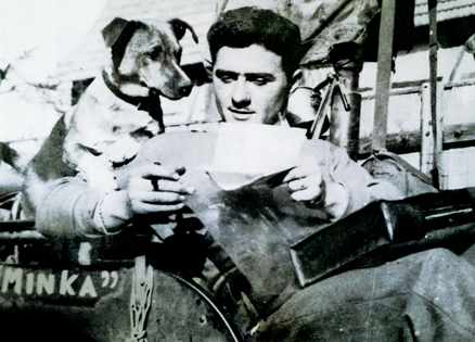 The Canine Angel That Saved a Soldier