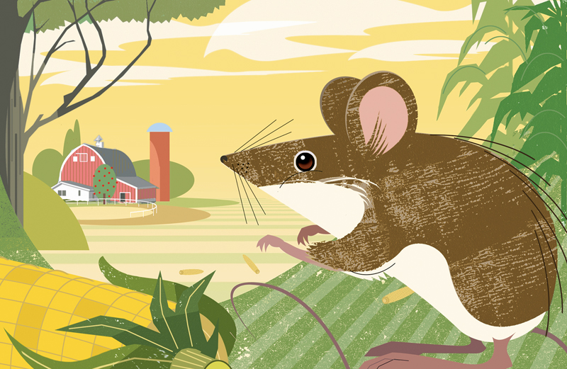 Keeping Mice in Their Place…Outdoors