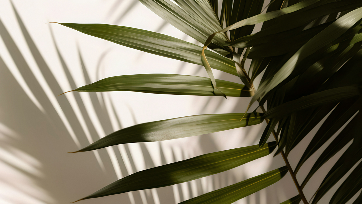 3 Foolish Prayers to Avoid