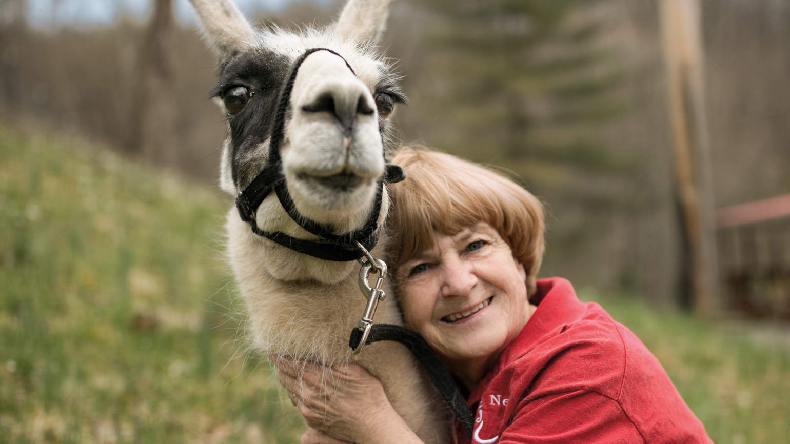 Sharing the Good News of Faith—and Llamas?