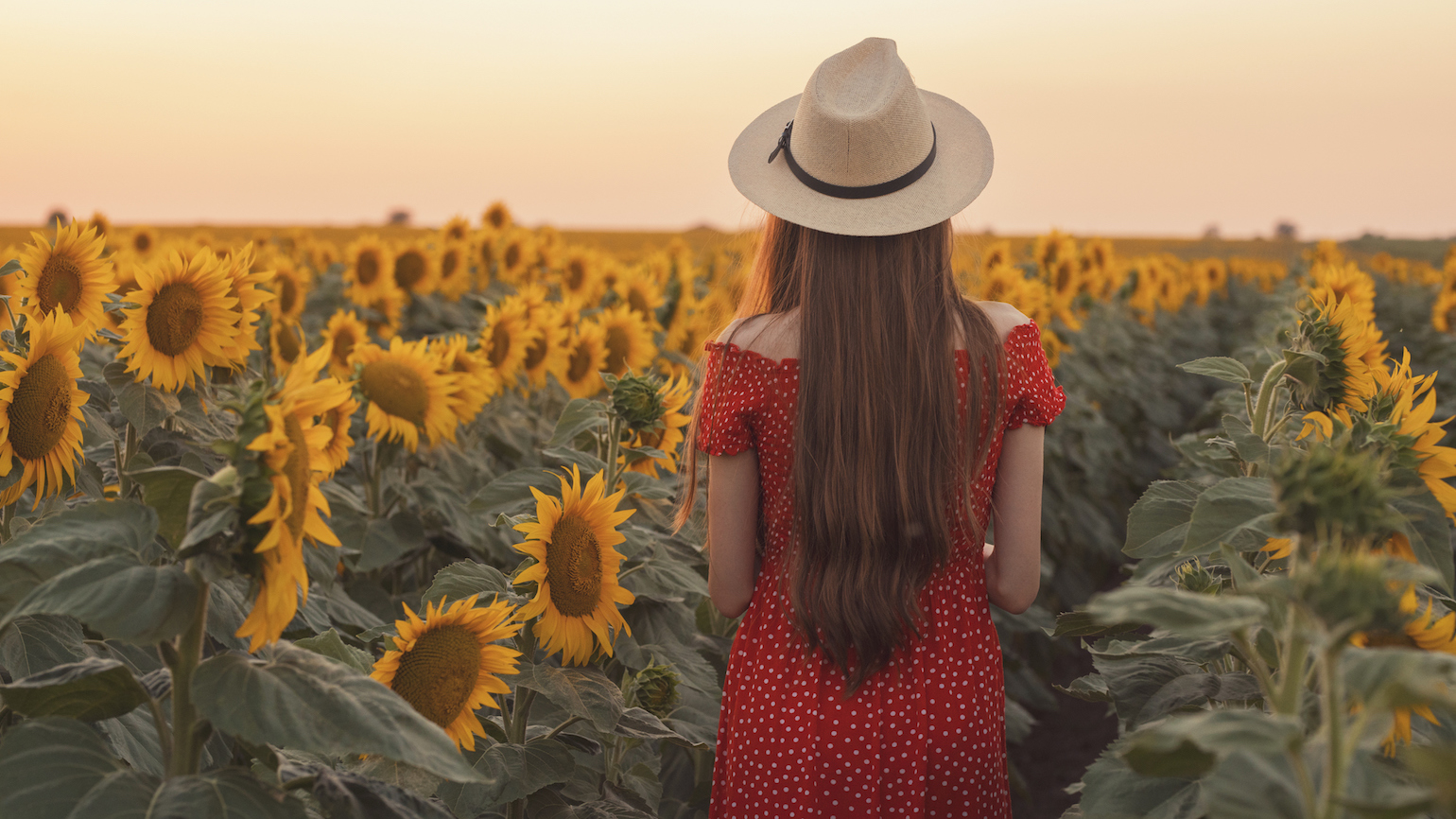 What Happens If You Look for a Miracle?