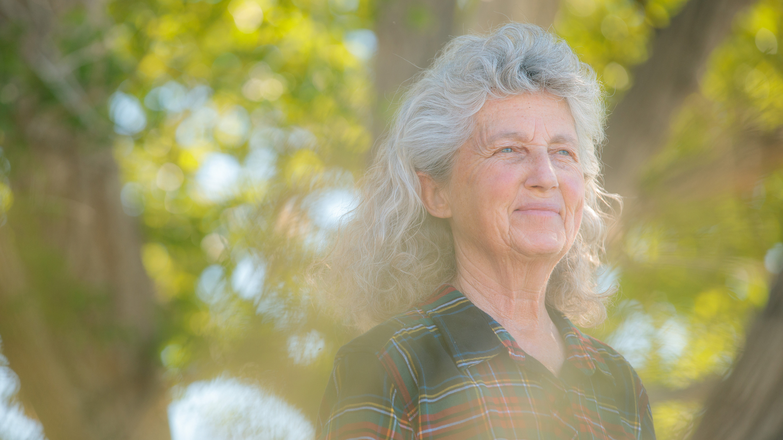 A Collection of Lou Dean Stories