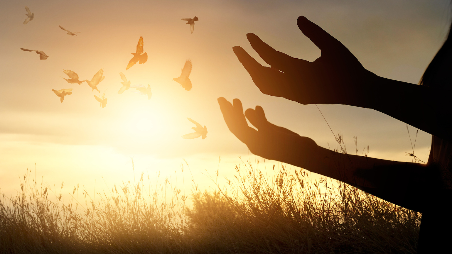 How to Love Your Enemies