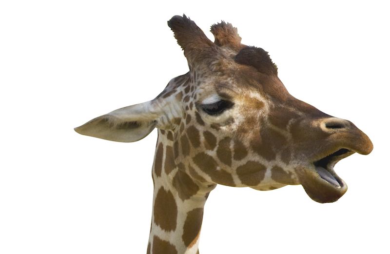 God’s Talking…Are You Listening?