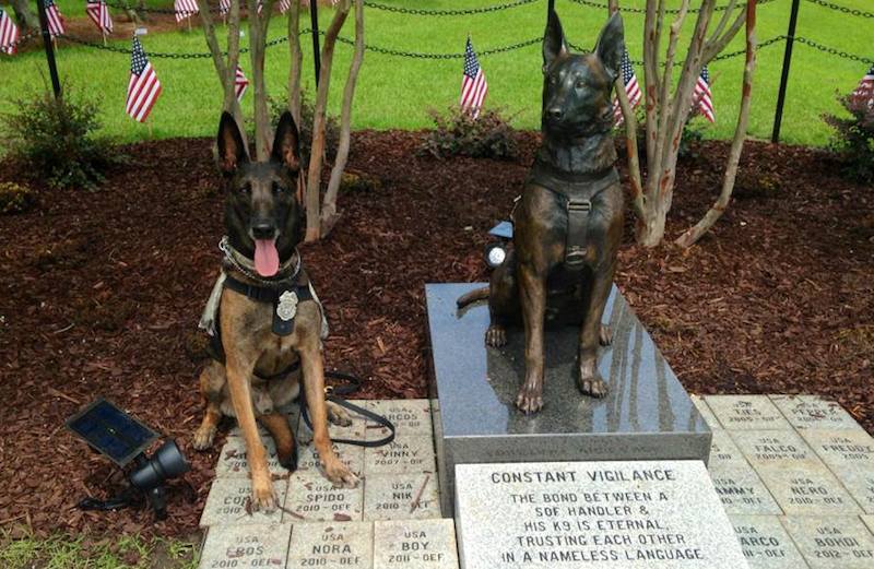 Our Heroic Military Working Dogs