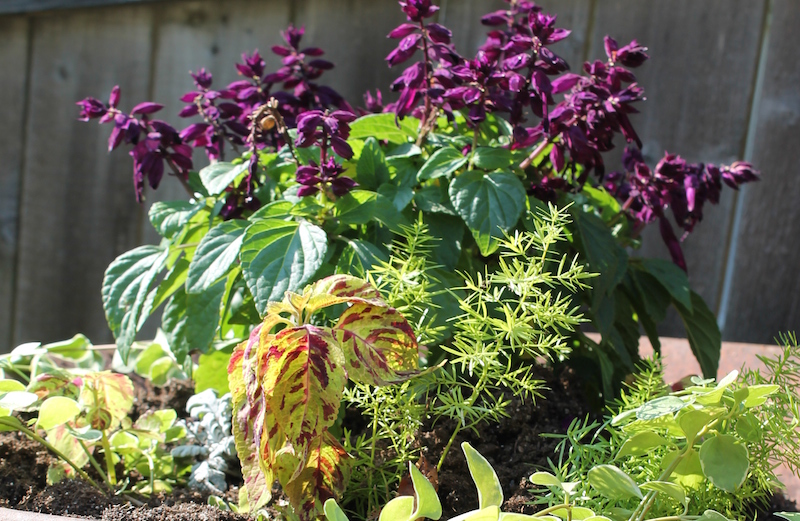 Compassionate Giving