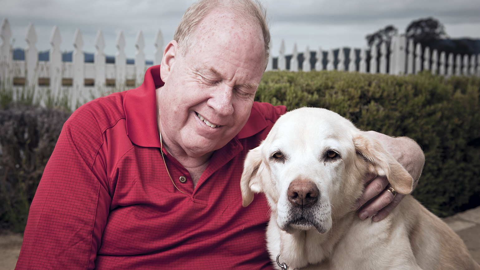 Guided to Safety on September 11th