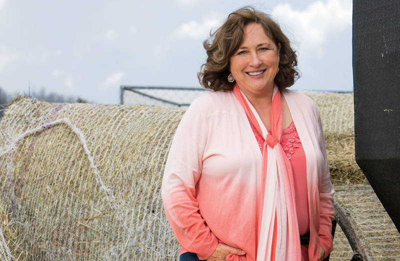 How Love Found Me in Sugarcreek