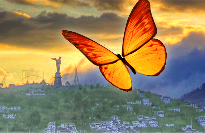 Learning to Trust an Unseen Guide