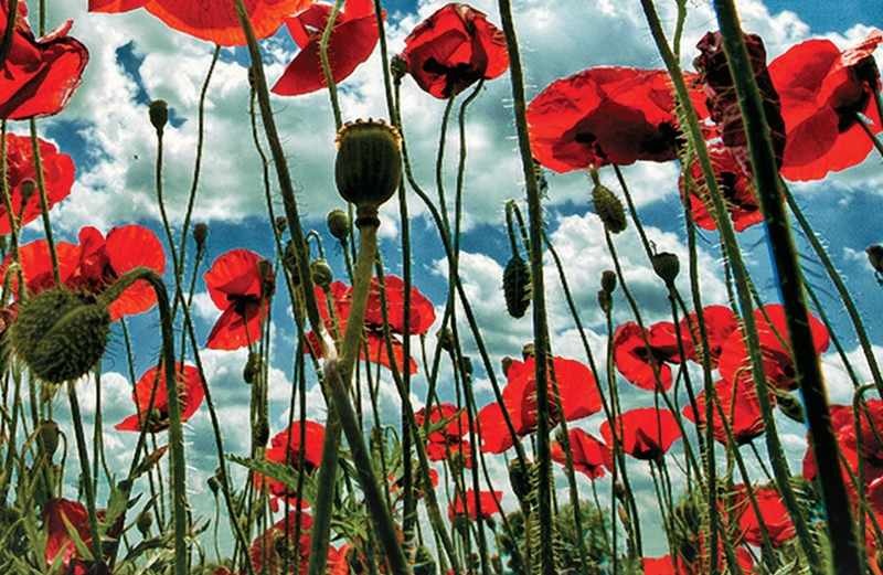 We’re All Miracle Chasers