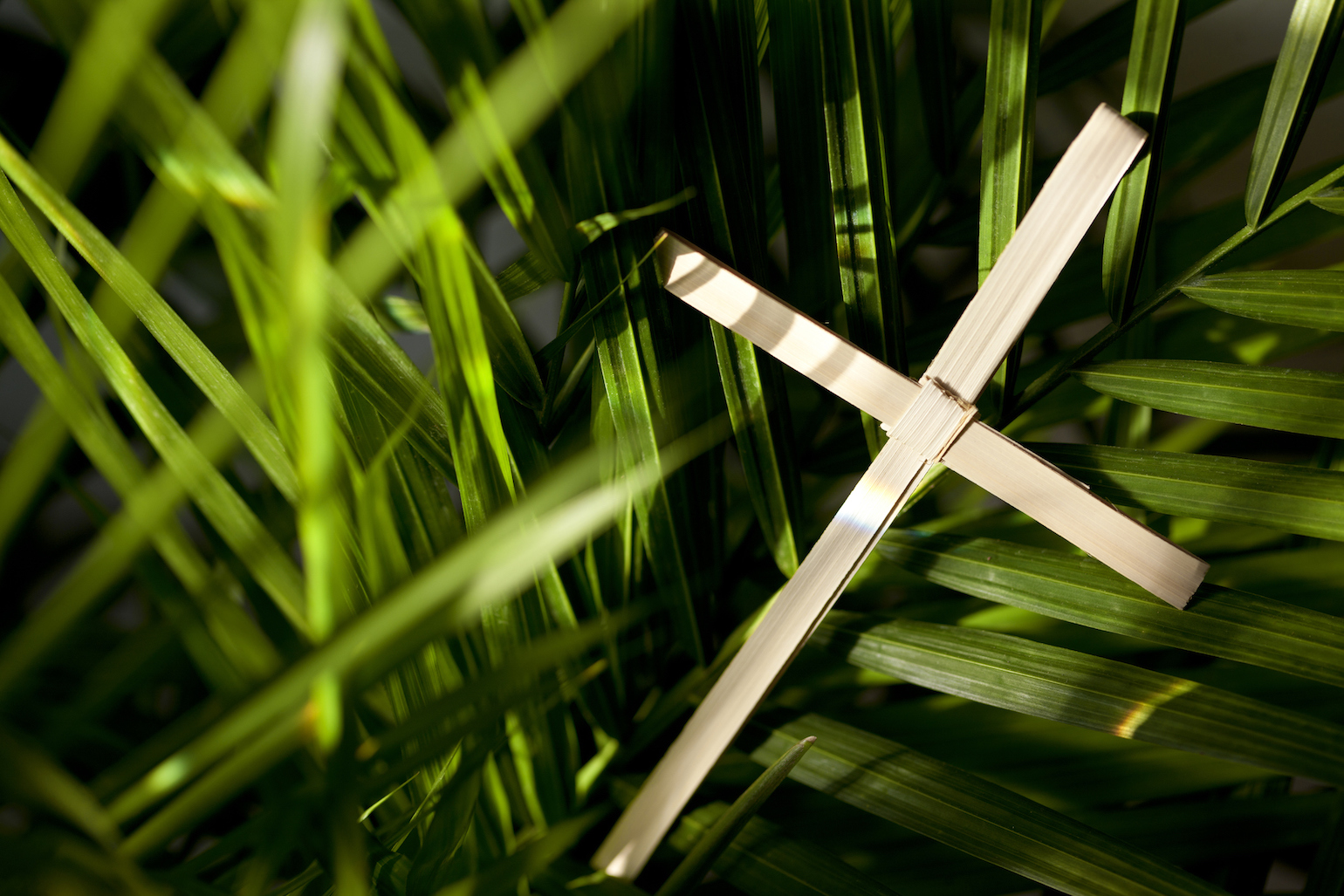 5 Palm Sunday Devotions