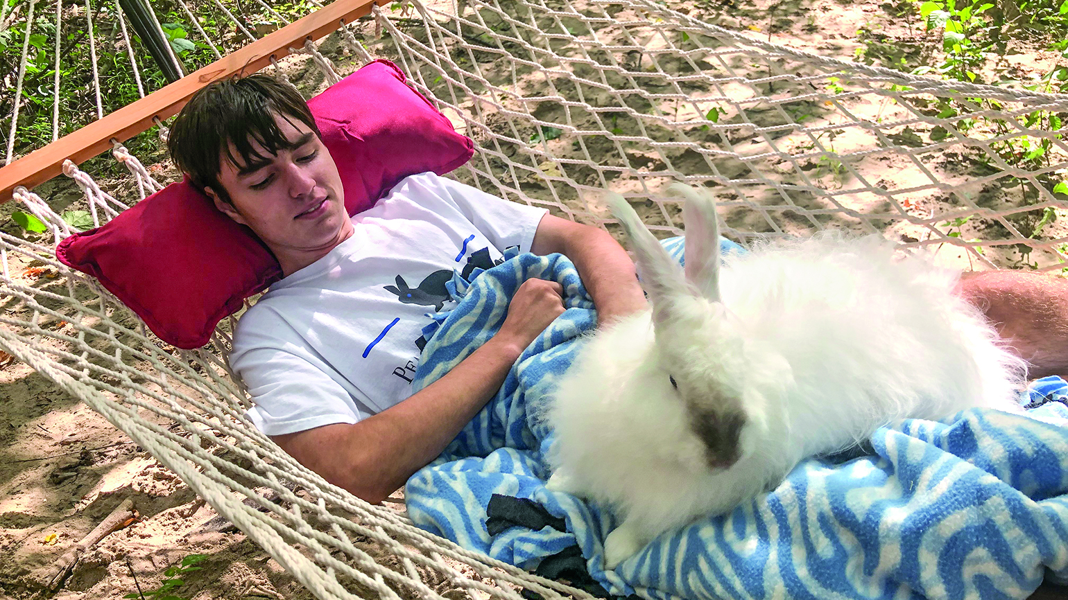 How a Boy Turned His Dream of Training Comfort Rabbits into a Reality