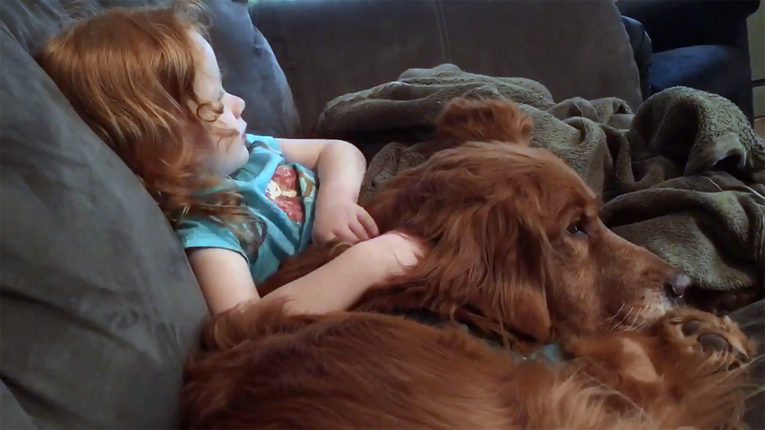 8 Tips for Introducing Your Grandchild to Your Pet