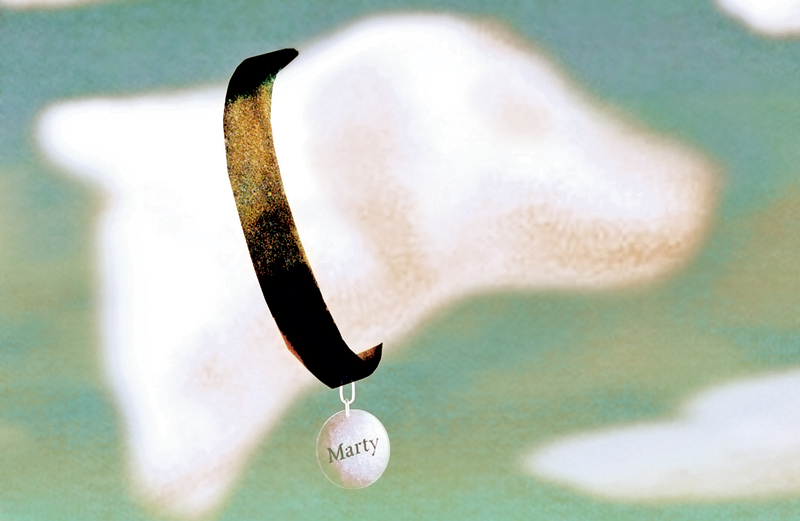 Do Pets Go to Heaven?