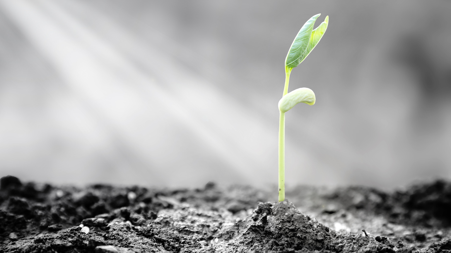 5 Biblical Prayers for Patience