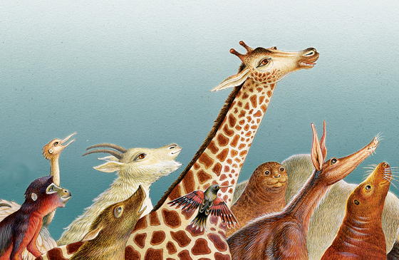 If Our Pets Could Talk…