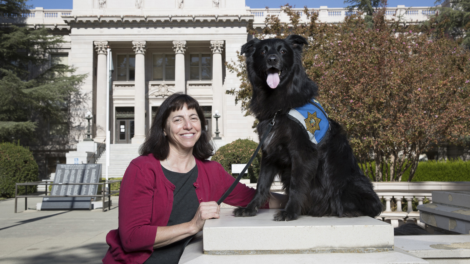 How This Service Dog Came to Comfort Crime Victims