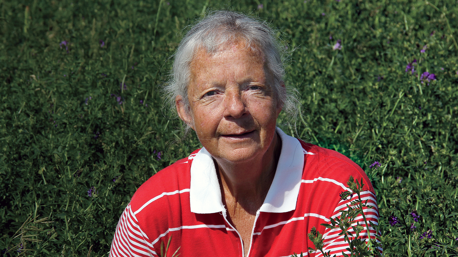 How Six Sheets of Yellowed Paper Eased Her Loneliness