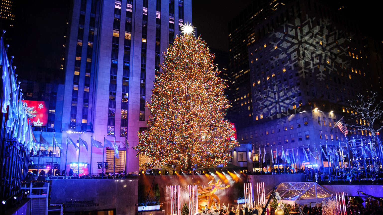 Joy to the World: The Inspiring Journey of the 2019 Rockefeller Tree