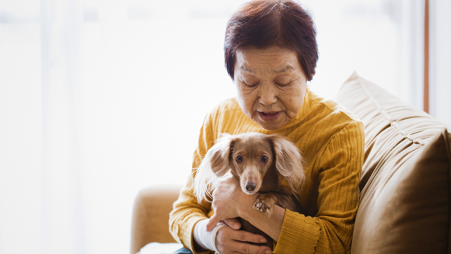 6 Ways Seniors Can Interact With Pets Without Committing to Ownership