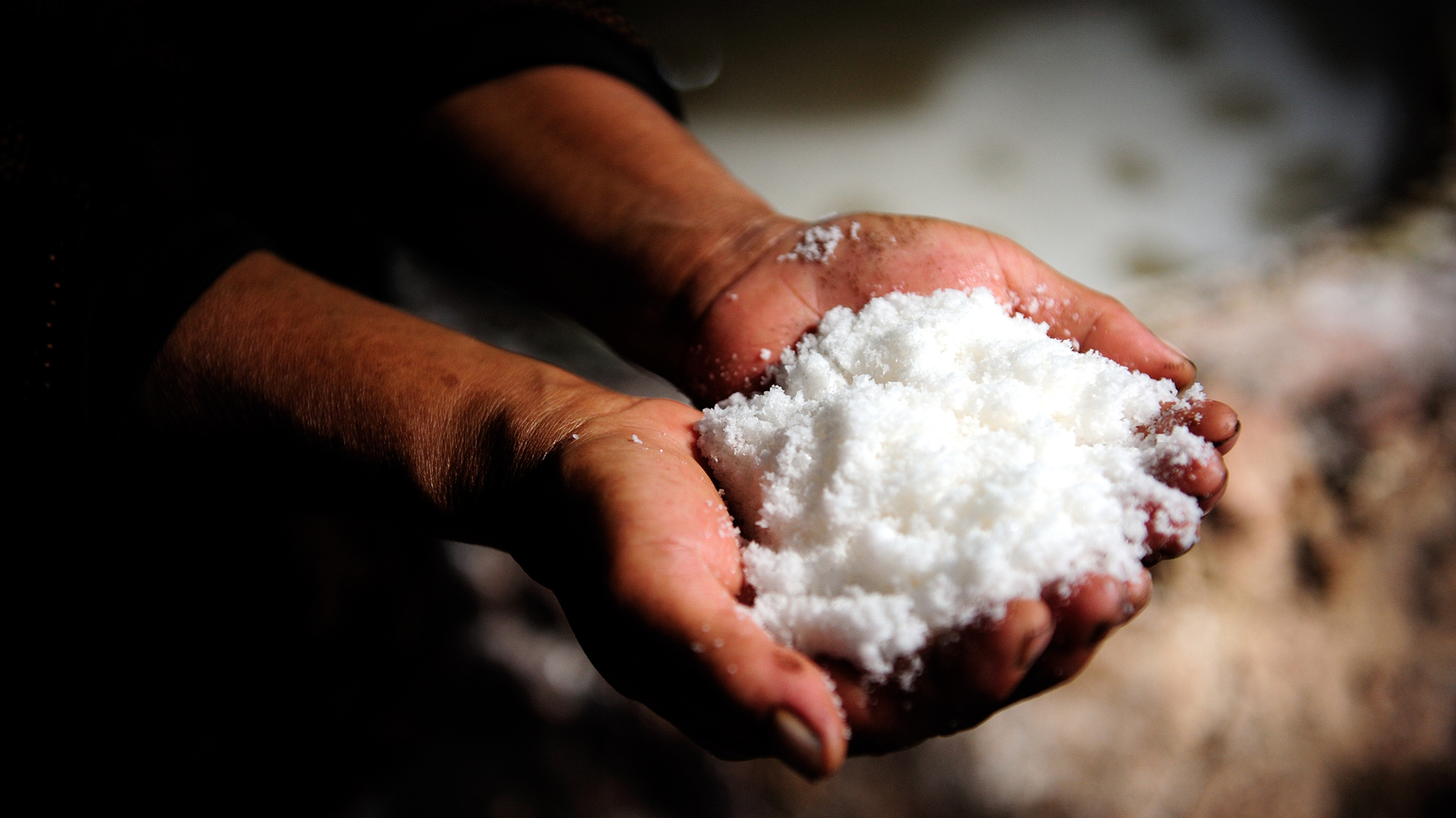 What Does ‘Salt of the Earth’ Mean?