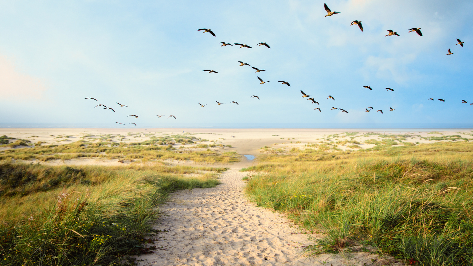 Two Simple Words to Draw Closer to God