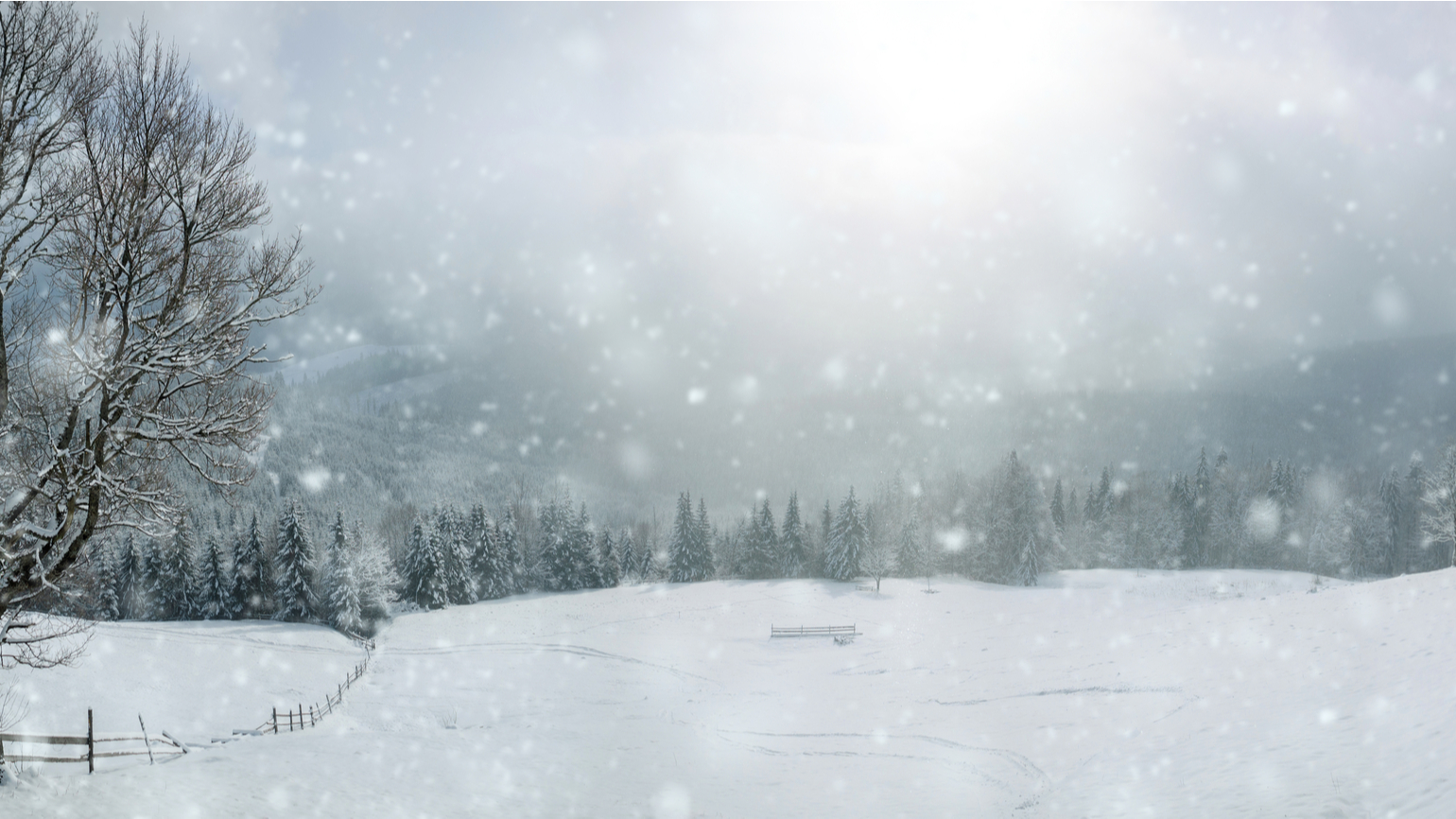 My Verse for the New Year