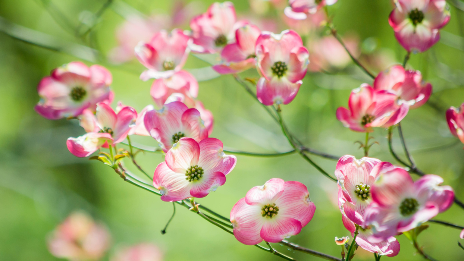 Jesus Is Your Safe Place