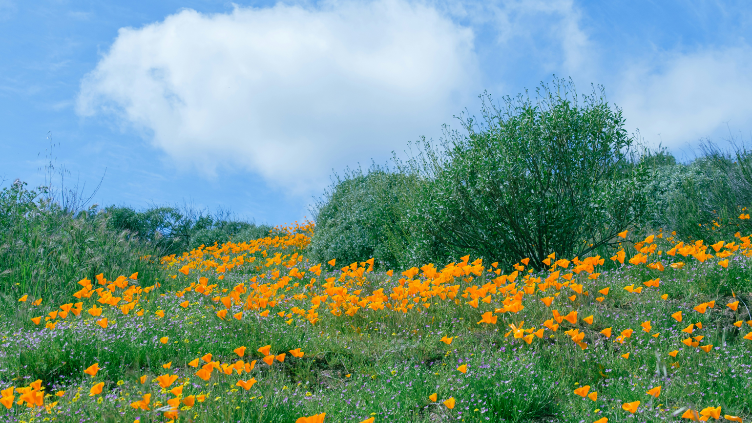 7 Ways to Experience the Comfort of Silence