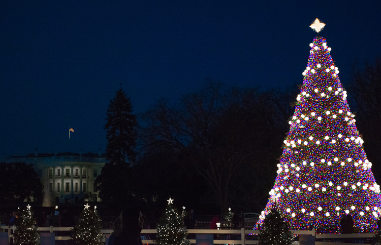 11 Community Christmas Trees Across America