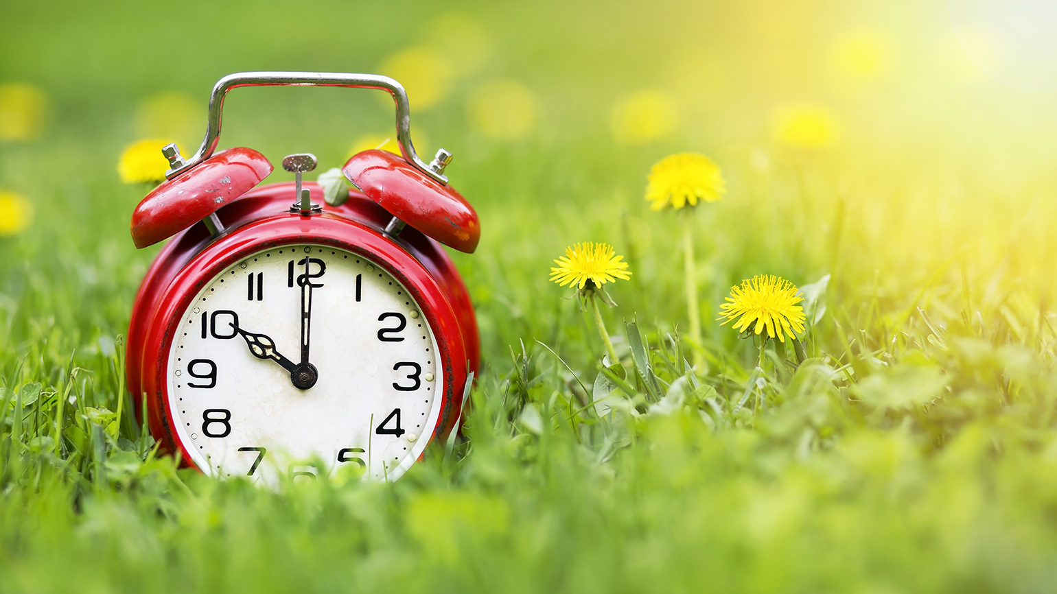 Spring Forward: 7 Tips to Help You Adjust to Daylight Savings Time