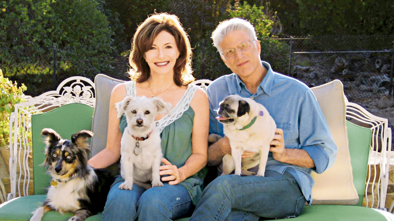 The Dog of My Dreams